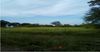 I-220 & COUNTRY CLUB RD photo
